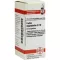 CARBO VEGETABILIS D 10 glóbulos, 10 g