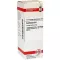 COLCHICUM Dilución D 6, 20 ml