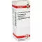 COLOCYNTHIS Dilución D 4, 20 ml