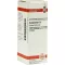 HAMAMELIS Dilución D 2, 20 ml