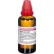 HYPERICUM EXTERN Extracto, 50 ml