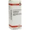 LYCOPODIUM Dilución D 4, 20 ml