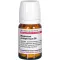 MAGNESIUM PHOSPHORICUM D 6 tabletas, 80 piezas