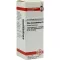 RHUS TOXICODENDRON Dilución D 6, 20 ml