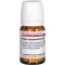 RHUS TOXICODENDRON D 6 tabletas, 80 piezas