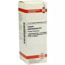 ZINCUM VALERIANICUM Dilución D 6, 20 ml