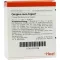 GINGIVA SUIS Ampollas Injeel, 10 piezas