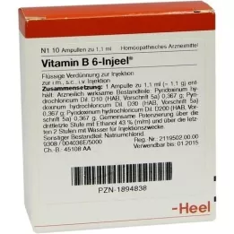 VITAMIN B6 INJEEL Ampollas, 10 piezas