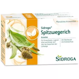 SIDROGA Bolsas filtrantes de té de llantén menor, 20X1,4 g
