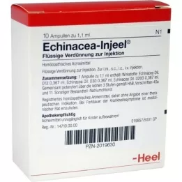 ECHINACEA INJEEL Ampollas, 10 piezas