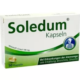 SOLEDUM 100 mg cápsulas gastrorresistentes, 50 unidades