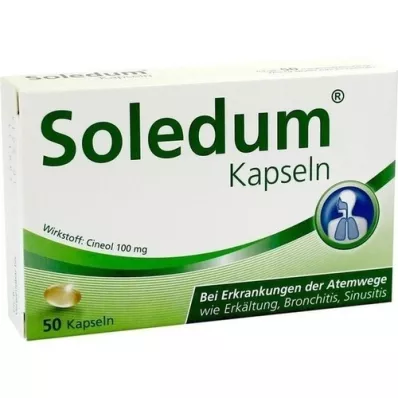 SOLEDUM 100 mg cápsulas gastrorresistentes, 50 unidades