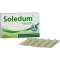 SOLEDUM 100 mg cápsulas gastrorresistentes, 50 unidades