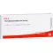 PERIODONTIUM/STANNUM comp. ampollas, 10X1 ml
