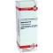 HYPERICUM Dilución D 6, 20 ml