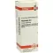 PHYTOLACCA Dilución D 6, 20 ml