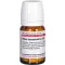 RHUS TOXICODENDRON D 12 tabletas, 80 piezas