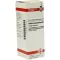 ROBINIA PSEUDACACIA Dilución D 3, 20 ml