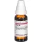 RUTA Dilución D 6, 20 ml