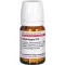 STAPHISAGRIA D 12 tabletas, 80 piezas