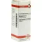ABROTANUM Dilución D 2, 20 ml