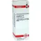CAMPHORA Dilución D 4, 20 ml
