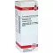 CONIUM Dilución D 12, 20 ml