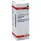 CRATAEGUS Tintura madre, 20 ml