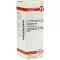 ECHINACEA HAB Dilución D 6, 20 ml