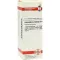 EQUISETUM ARVENSE Dilución D 4, 20 ml