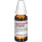 HARPAGOPHYTUM PROCUMBENS Dilución D 3, 20 ml