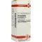 HARPAGOPHYTUM PROCUMBENS Dilución D 6, 20 ml