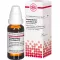 HARPAGOPHYTUM PROCUMBENS Dilución D 6, 20 ml