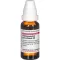 HARPAGOPHYTUM PROCUMBENS Dilución D 6, 20 ml