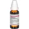 GNAPHALIUM POLYCEPHALUM Dilución D 3, 20 ml