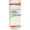 GNAPHALIUM POLYCEPHALUM Dilución D 4, 20 ml