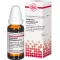 GNAPHALIUM POLYCEPHALUM Dilución D 4, 20 ml