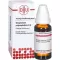 GNAPHALIUM POLYCEPHALUM Dilución D 4, 20 ml