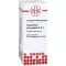 GNAPHALIUM POLYCEPHALUM Dilución D 4, 20 ml