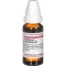 COLLINSONIA CANADENSIS Dilución D 1, 20 ml