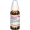 COLLINSONIA CANADENSIS Dilución D 2, 20 ml