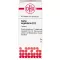 CARBO VEGETABILIS D 12 tabletas, 80 piezas