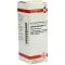 CARDUUS MARIANUS Dilución D 1, 20 ml