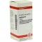 AGARICUS D 6 tabletas, 80 piezas