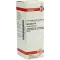 AESCULUS Dilución D 6, 20 ml