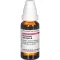 ROSMARINUS OFFICINALIS Tintura madre D 1, 20 ml