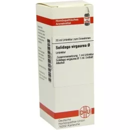 SOLIDAGO VIRGAUREA Tintura madre, 20 ml