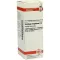 SOLIDAGO VIRGAUREA Dilución D 3, 20 ml