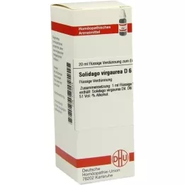 SOLIDAGO VIRGAUREA Dilución D 6, 20 ml