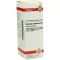 SOLIDAGO VIRGAUREA Dilución D 6, 20 ml